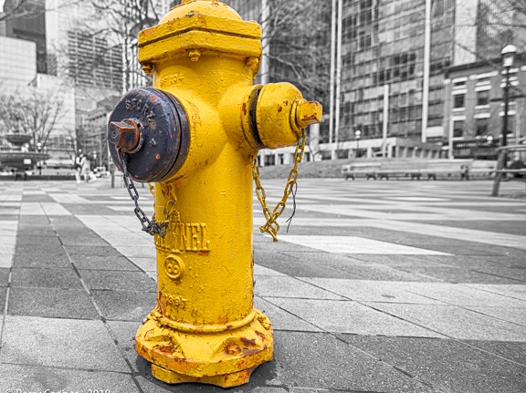 Yellow Hydrant (week 13 of 52)